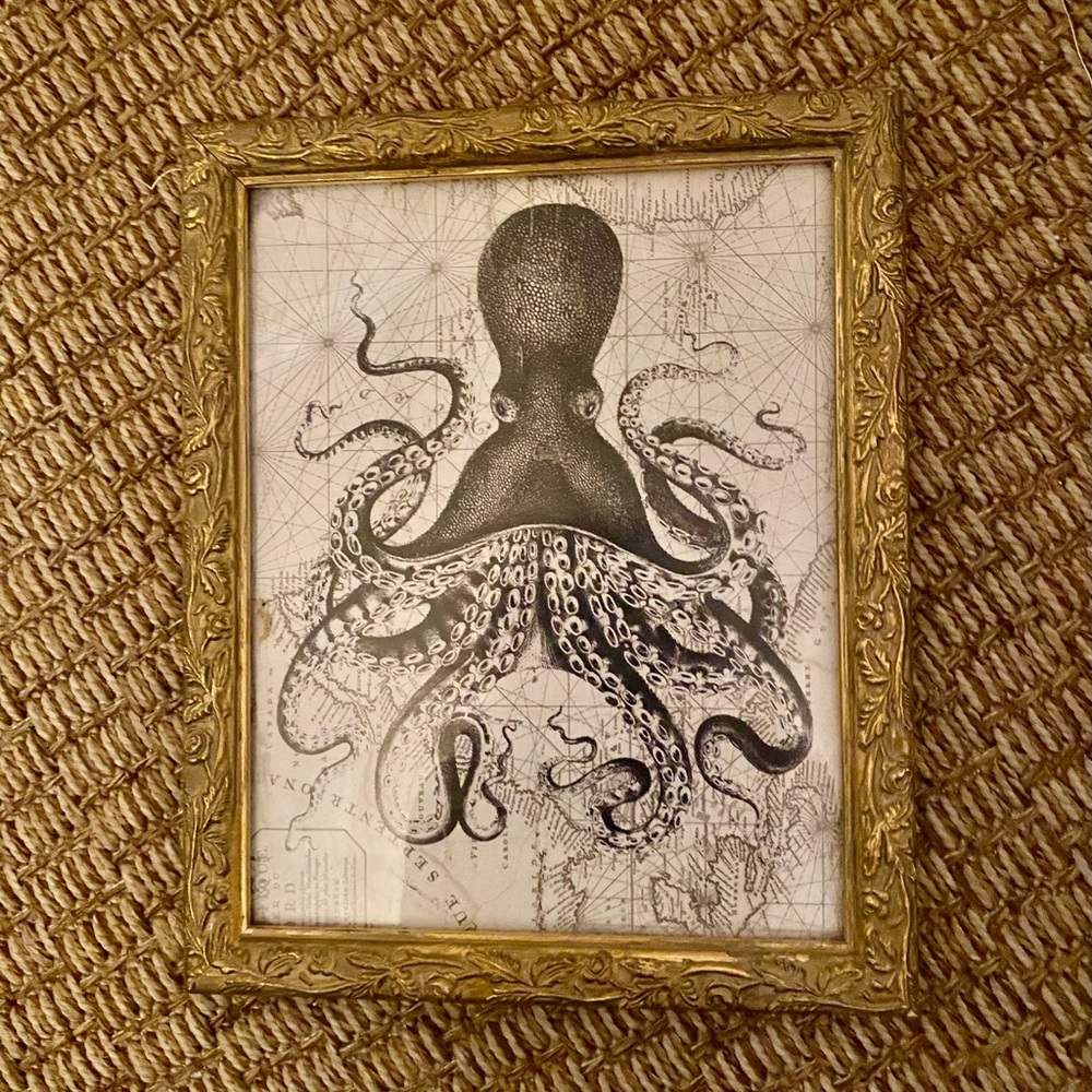 Octopus print in gold frame 10”x8”